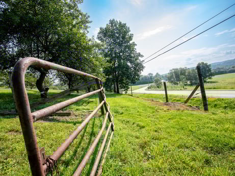 An image featuring sky, plant, cloud, tree, wheel, natural landscape, wood, tire, grass, grassland at 17899 US-6.