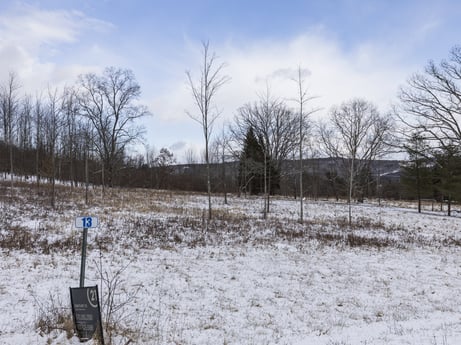 An image featuring cloud, sky, plant, ecoregion, natural landscape, snow, land lot, tree, wood, landscape at Hemlock Hill Rd.