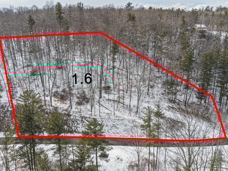 An image featuring snow, ecoregion, plant, slope, black, tree, natural environment, mountain, natural landscape, biome at Hemlock Hill Rd.