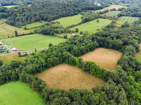 An image featuring plant, property, ecoregion, green, natural landscape, natural environment, tree, land lot, vegetation, grass at 2399 Keene Summit Rd.