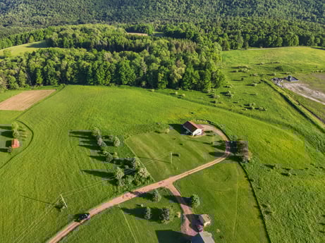 An image featuring plant, ecoregion, natural landscape, green, tree, natural environment, highland, land lot, vegetation, slope at 85 View Rd.