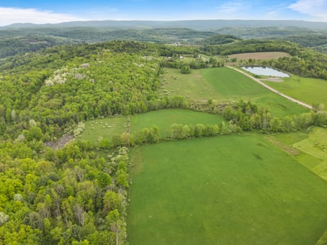 An image featuring sky, ecoregion, natural landscape, natural environment, cloud, tree, land lot, plant, grass, grassland at County Line Rd.