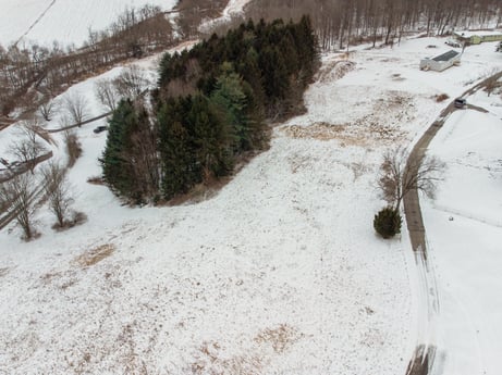 An image featuring plant, snow, slope, automotive tire, freezing, terrain, landscape, geological phenomenon, road, recreation at Idle Wheels Ln.