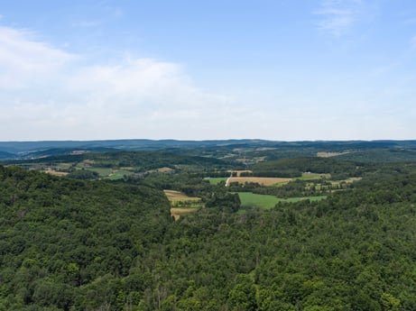 An image featuring sky, plant, cloud, natural landscape, highland, land lot, tree, terrain, plain, grassland at 154 Fox Run Rd.