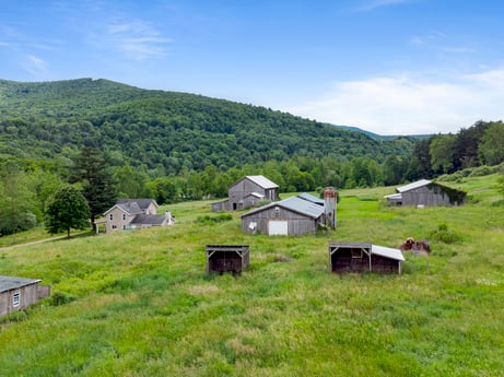 An image featuring sky, plant, cloud, property, ecoregion, mountain, nature, natural landscape, tree, natural environment at 709 Creek Rd.