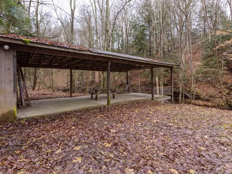 An image featuring plant, natural landscape, wood, shade, road surface, tree, asphalt, grass, landscape, deciduous at 1841 Lynch Rd.