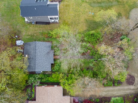 An image featuring plant, plant community, green, land lot, vegetation, house, grass, biome, wood, rural area at 103 Mokoma Ave.