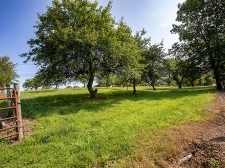 An image featuring plant, sky, cloud, natural landscape, tree, land lot, wood, grass, plain, grassland at 17899 US-6.
