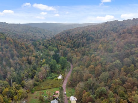 An image featuring cloud, sky, plant, plant community, mountain, natural landscape, tree, vegetation, terrain, landscape at Nordmont Rd.