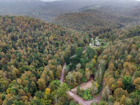 An image featuring mountain, plant community, plant, natural landscape, sky, highland, tree, terrain, mountainous landforms, landscape at Nordmont Rd.