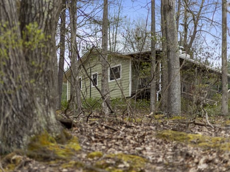 An image featuring plant, sky, window, building, natural environment, wood, house, natural landscape, tree, twig at English Hollow Ln.