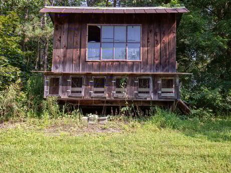 An image featuring plant, window, building, wood, tree, grass, cottage, house, landscape, natural landscape at 17899 US-6.