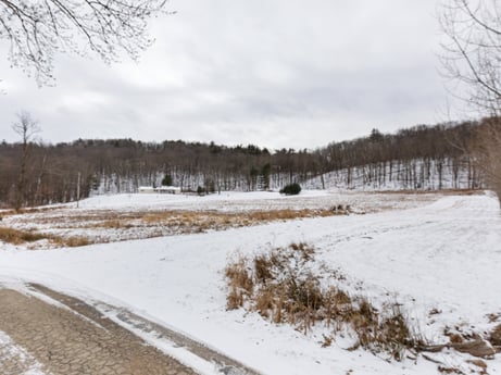 An image featuring sky, cloud, snow, plant, natural landscape, tree, wood, landscape, plain, geological phenomenon at Unknown location.