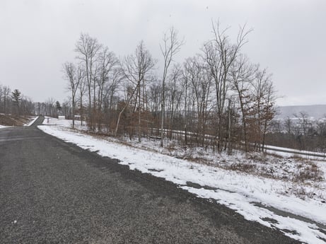 An image featuring sky, plant, snow, cloud, natural landscape, branch, road surface, asphalt, tree, land lot at Hemlock Hill Rd.