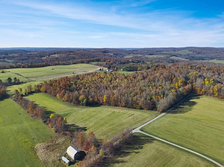 An image featuring cloud, sky, ecoregion, plant, natural landscape, land lot, tree, plain, grass, grassland at Moe Wilkins Rd.