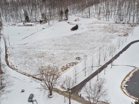 An image featuring snow, slope, branch, plant, tree, twig, freezing, landscape, natural landscape, wood at Unknown location.
