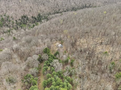 An image featuring plant, tree, shrub, grass, grass family, natural landscape, bedrock, grassland, groundcover, landscape at English Hollow Ln.