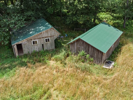 An image featuring plant, building, property, window, tree, natural landscape, wood, house, land lot, biome at 154 Fox Run Rd.