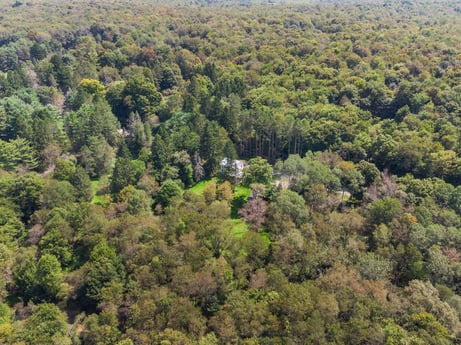 An image featuring plant community, ecoregion, natural landscape, terrestrial plant, landscape, grass, evergreen, groundcover, tree, grassland at 1039 Old Bernice Rd.