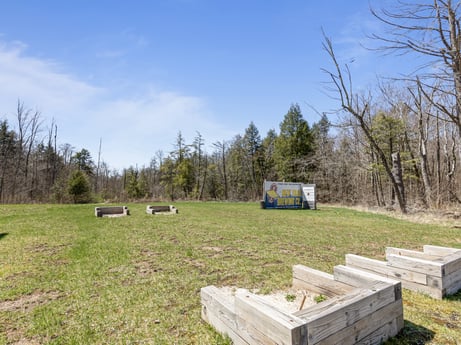 An image featuring plant, sky, cloud, plant community, ecoregion, table, tree, natural landscape, land lot, grassland at 4741 US-220.