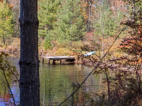 An image featuring water, plant, natural landscape, wood, fluvial landforms of streams, tree, lake, trunk, lacustrine plain, riparian zone at 125 Rimstone Ct.