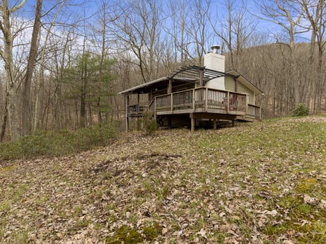 An image featuring plant, sky, building, property, plant community, tree, natural landscape, wood, house, land lot at English Hollow Ln.
