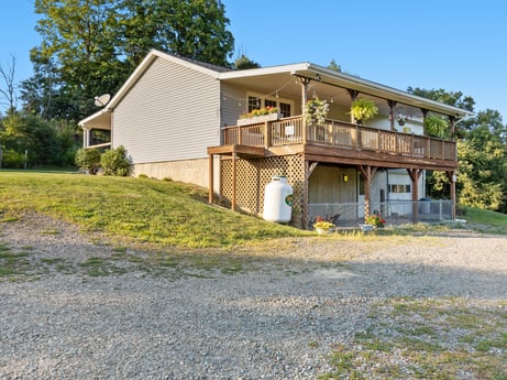 An image featuring plant, sky, property, window, building, tree, land lot, house, wood, grass at 62 Leons Rd.