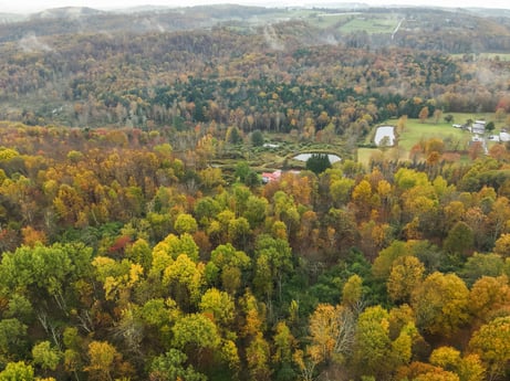 An image featuring plant, ecoregion, leaf, natural environment, natural landscape, tree, larch, landscape, deciduous, mountainous landforms at 1160 Dougherty Rd.