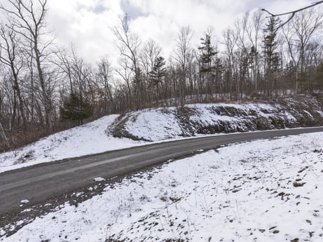 An image featuring cloud, sky, snow, automotive tire, plant, road surface, wood, branch, natural landscape, tree at Hemlock Hill Rd.