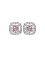 S2024.O.WR_F01