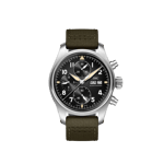 IWIW387901_41mm