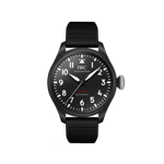 IWIW329801_43mm