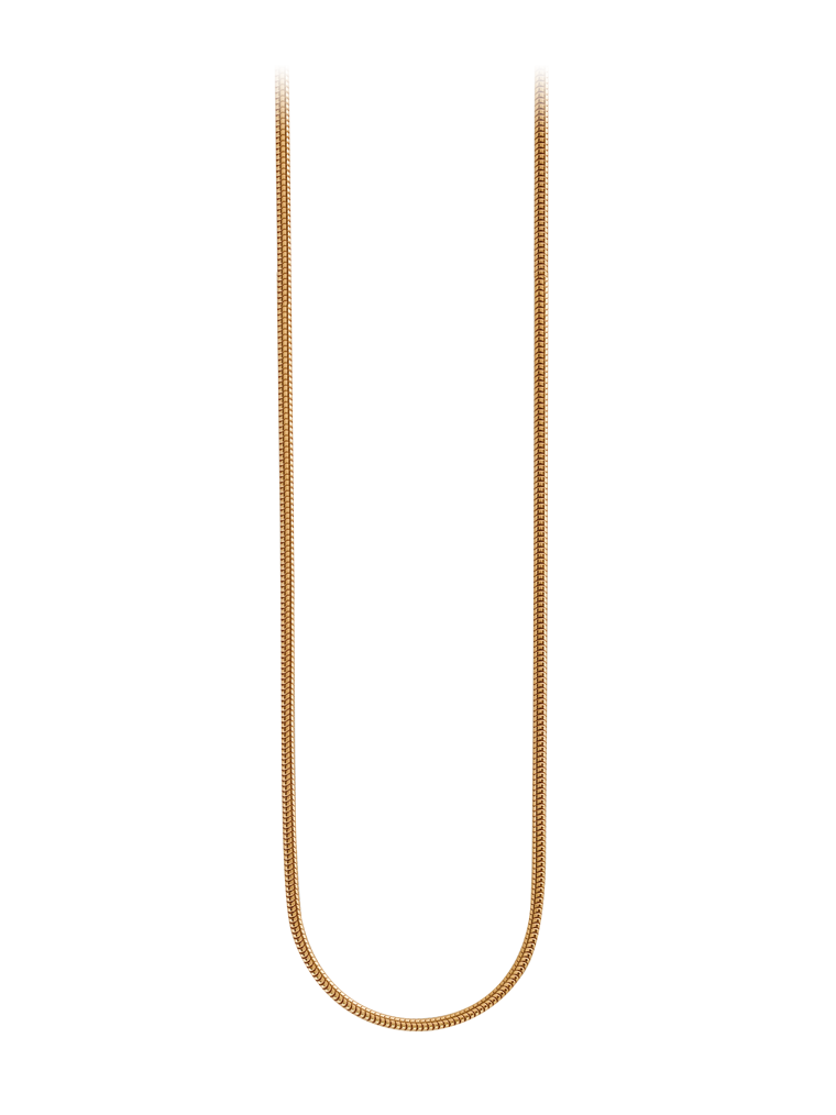 Schlangenkette Image