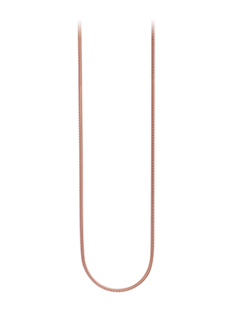 Schlangenkette Image