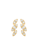 S2033.O.GX_F01