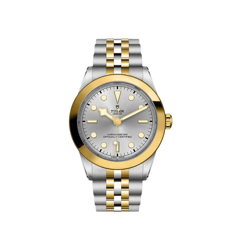 Tudor, Black Bay 39 S&G Armbanduhr aus Stahl / Gold 750 G, Referenz M79663-0002, Produktaufnahme