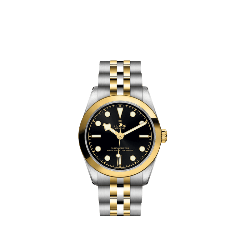 Tudor, Black Bay S&G Armbanduhr aus Stahl / Gold 750 G, Referenz M79603-0001, Produktaufnahme