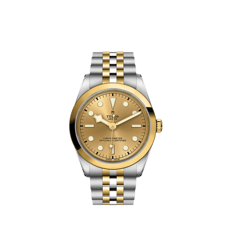 Tudor, Black Bay S&G Armbanduhr aus Stahl / Gold 750 G, Referenz M79643-0005, Produktaufnahme