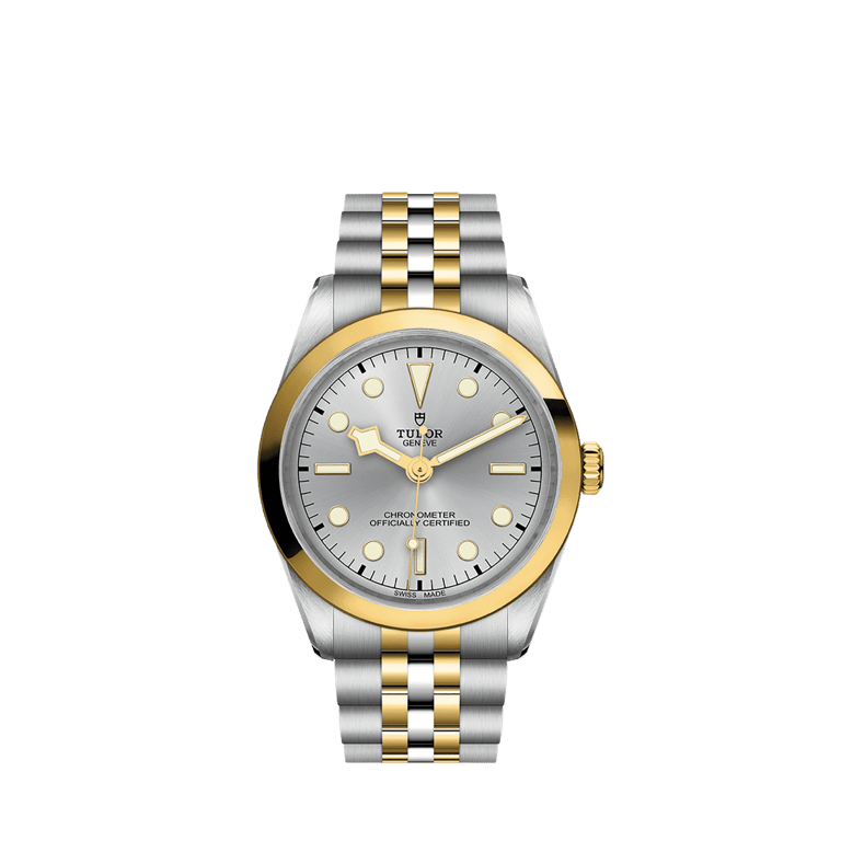 Tudor, Black Bay S&G Armbanduhr aus Stahl / Gold 750 G, Referenz M79643-0002, Produktaufnahme
