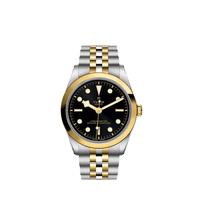 Tudor, Black Bay S&G Armbanduhr aus Stahl / Gold 750 G, Referenz M79643-0001, Produktaufnahme