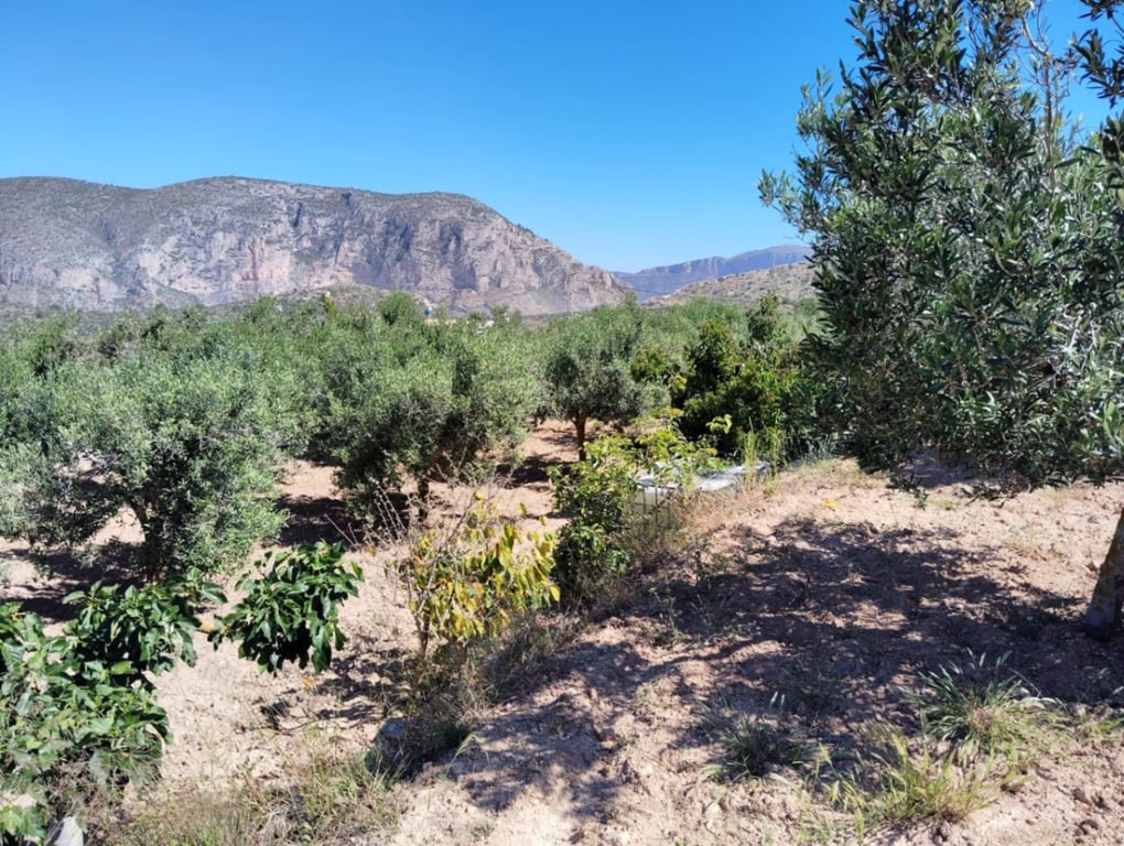 Finca en Teulada