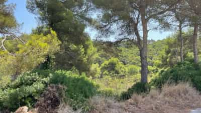 Property #AD 222 0