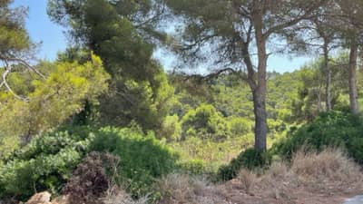 Property #AD 222 - Image 2