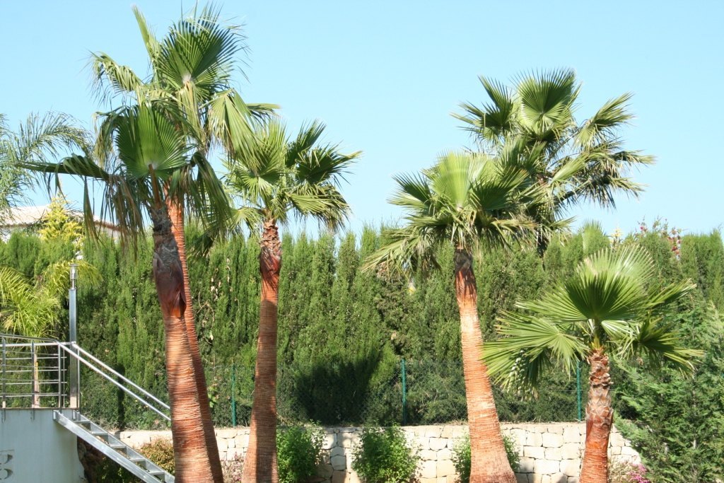 Property #RH20943 - 20