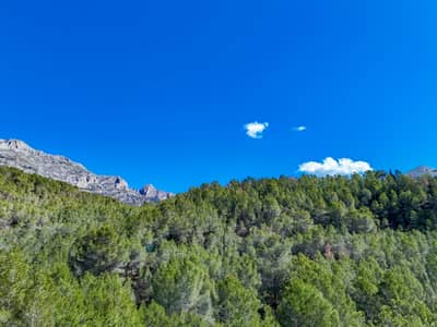 Property #TSR1293C - Image 3