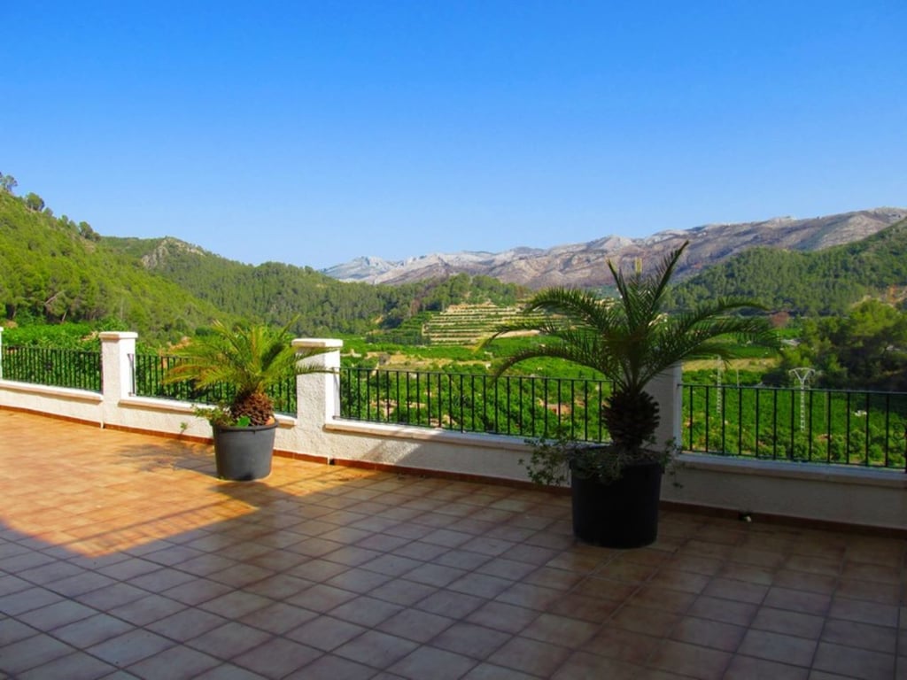 Finca amb plantacion d' alvocats a Forna - 11