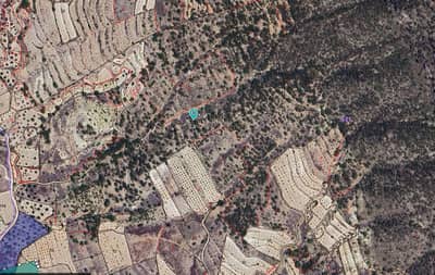 Property #TSR3381C - Image 2