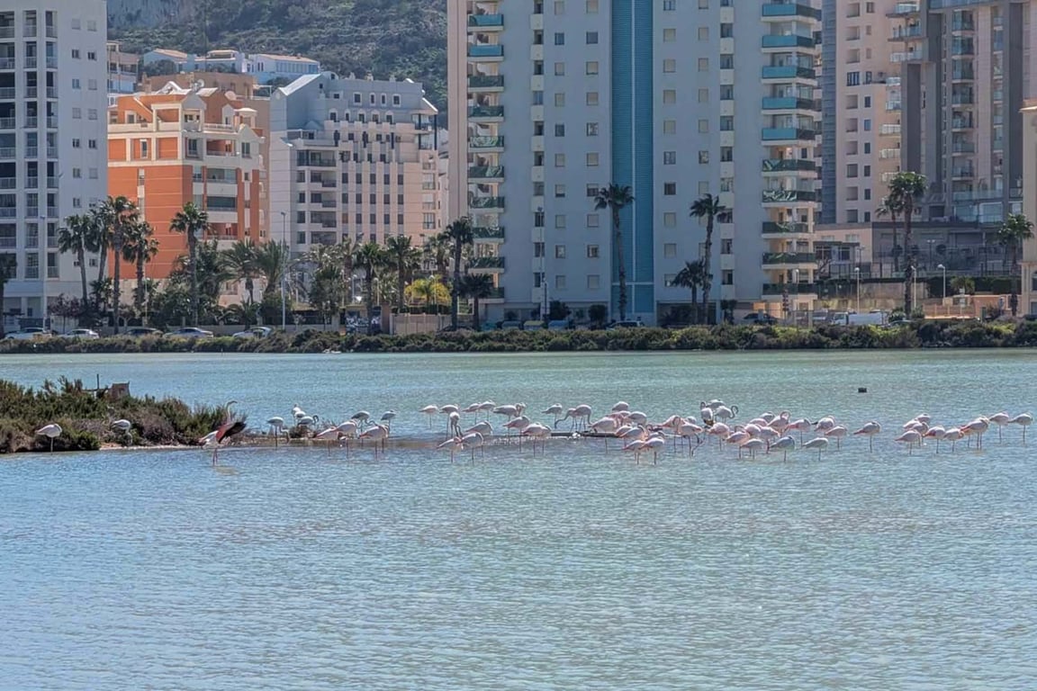 Property #RH21400 - 27