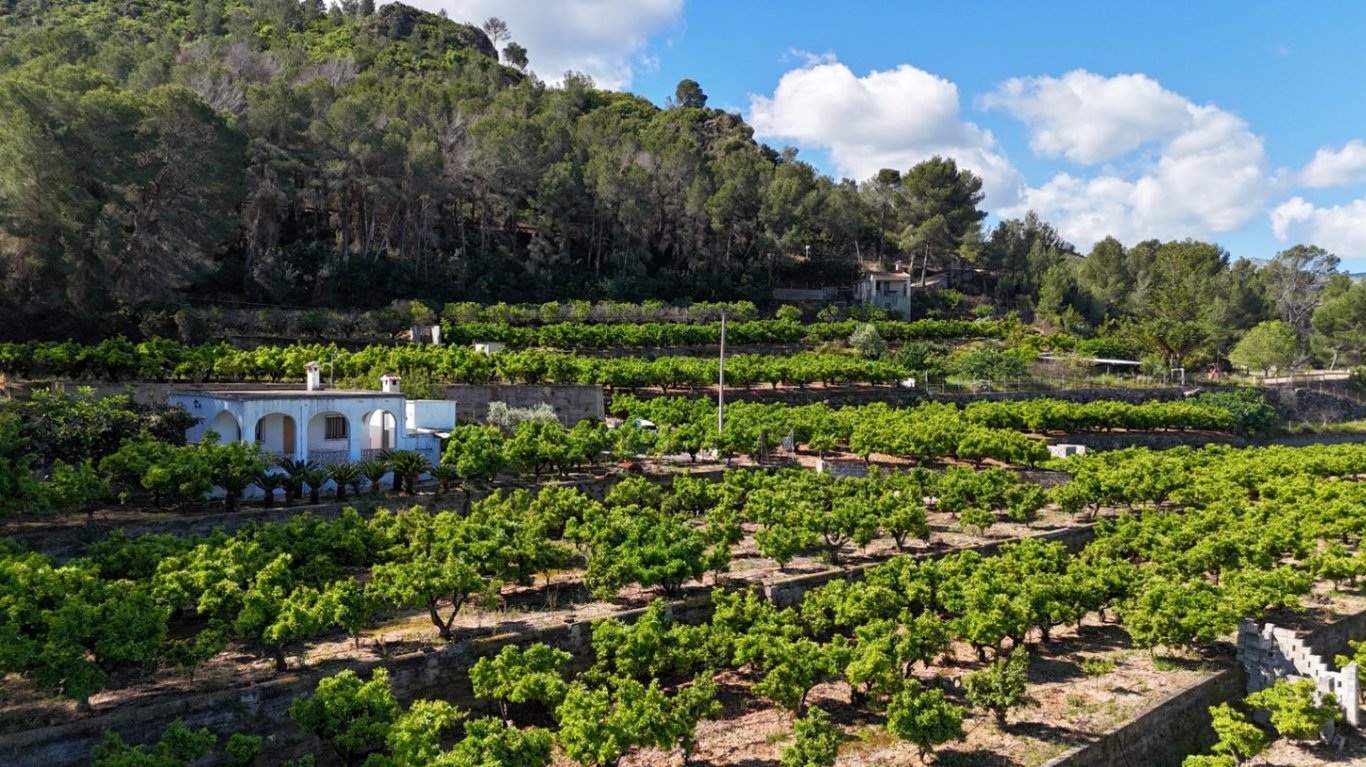 Encant rural amb vistes al mar i a la vall de Pego - 3