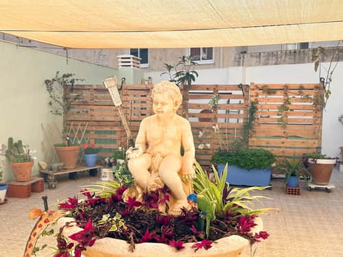 Appartement met 2 slaapkamers in Torrevieja — foto 43
